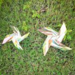 Four-Corner Transparent Color Film Pinwheel Garland
