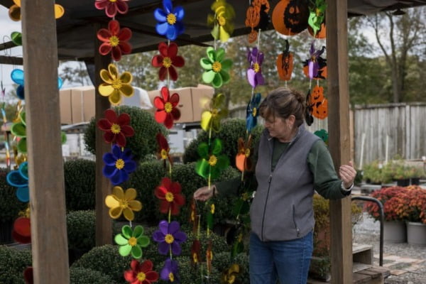 Are Whirligig Strings Suitable for Seasonal Promotions in the US?