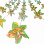 5‑Point Transparent Color Film Pinwheel String